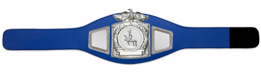 PROEAGLE WRESTLING CHAMPIONSHIP BELT - PROEAGLE/S/WRESTS - AVAILABLE IN 6+ COLOURS